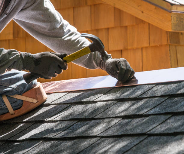 Best Roof Gutter Cleaning  in Towanda, KS